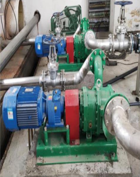 豬糞轉子泵是否會在運行時頻繁堵塞