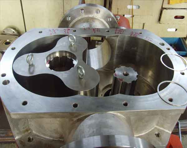 不銹鋼轉(zhuǎn)子泵的使用性能如何?怎樣選擇呢?